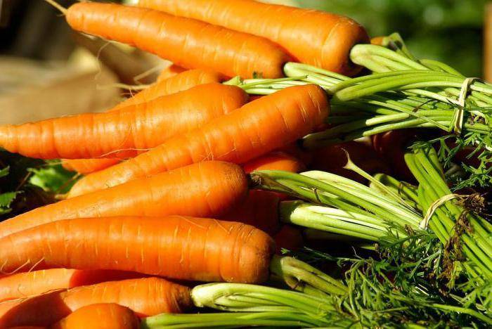 Морковь: что это такое, овощ или фрукт, корнеплод или нет, как выглядит на фото, где растет в открытом грунте на грядке и характеристика, история, род, описание русский фермер