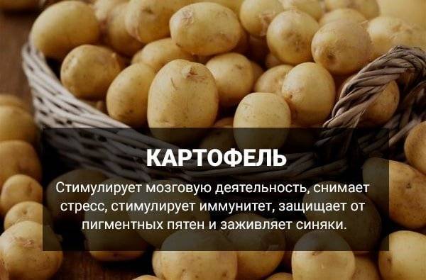 Влияние картофеля на организм человека