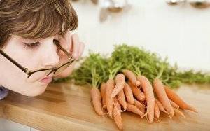 Сушеная морковь содержание полезных веществ, польза и вред, свойства