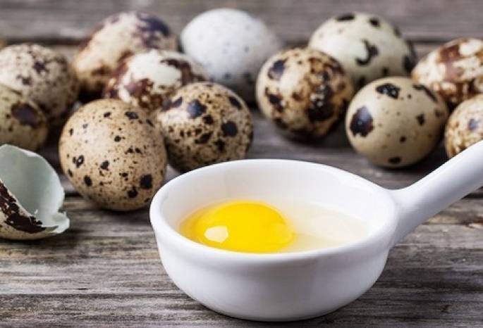 Перепелиные яйца: польза и вред для мужчин и женщин, как принимать