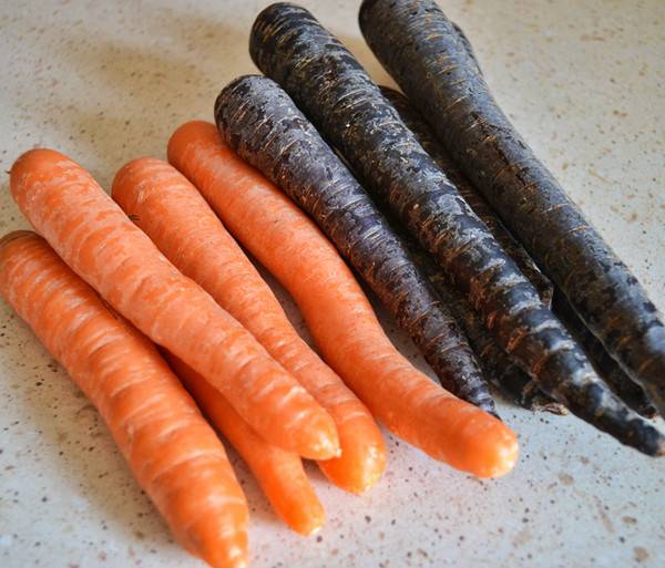 Сорта сладкой и сочной моркови - сам себе сад