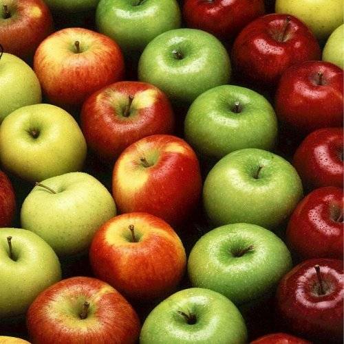 Сорта яблонь для средней полосы россии: фото с описанием лучших ранних, поздних осенних и зимних