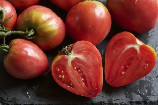 Выращивание томатов воловье сердце