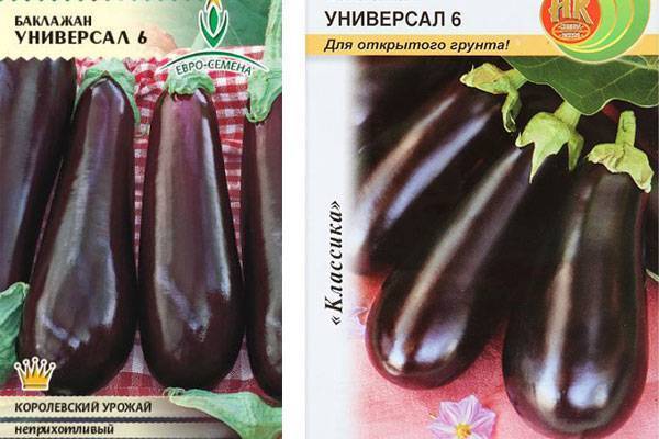 Характеристика баклажана сорта универсал 6 - журнал садовода ryazanameli.ru