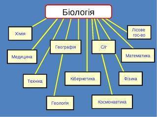 Роль грибов в природе: каково значение в жизни, характеристика