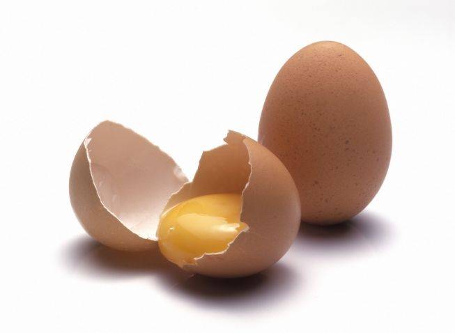 Польза и вред от индюшиных яиц для здоровья