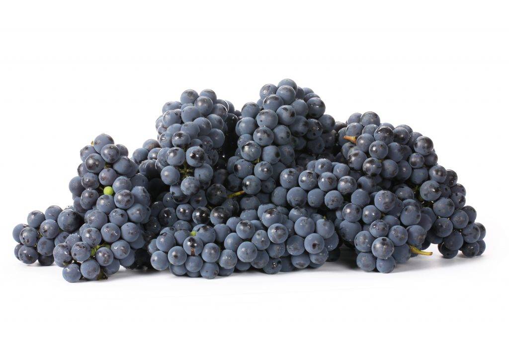 Калорийность винограда: зелёного, красного, черного