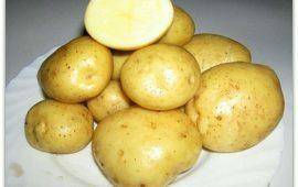 Ассоль сорт картофеля