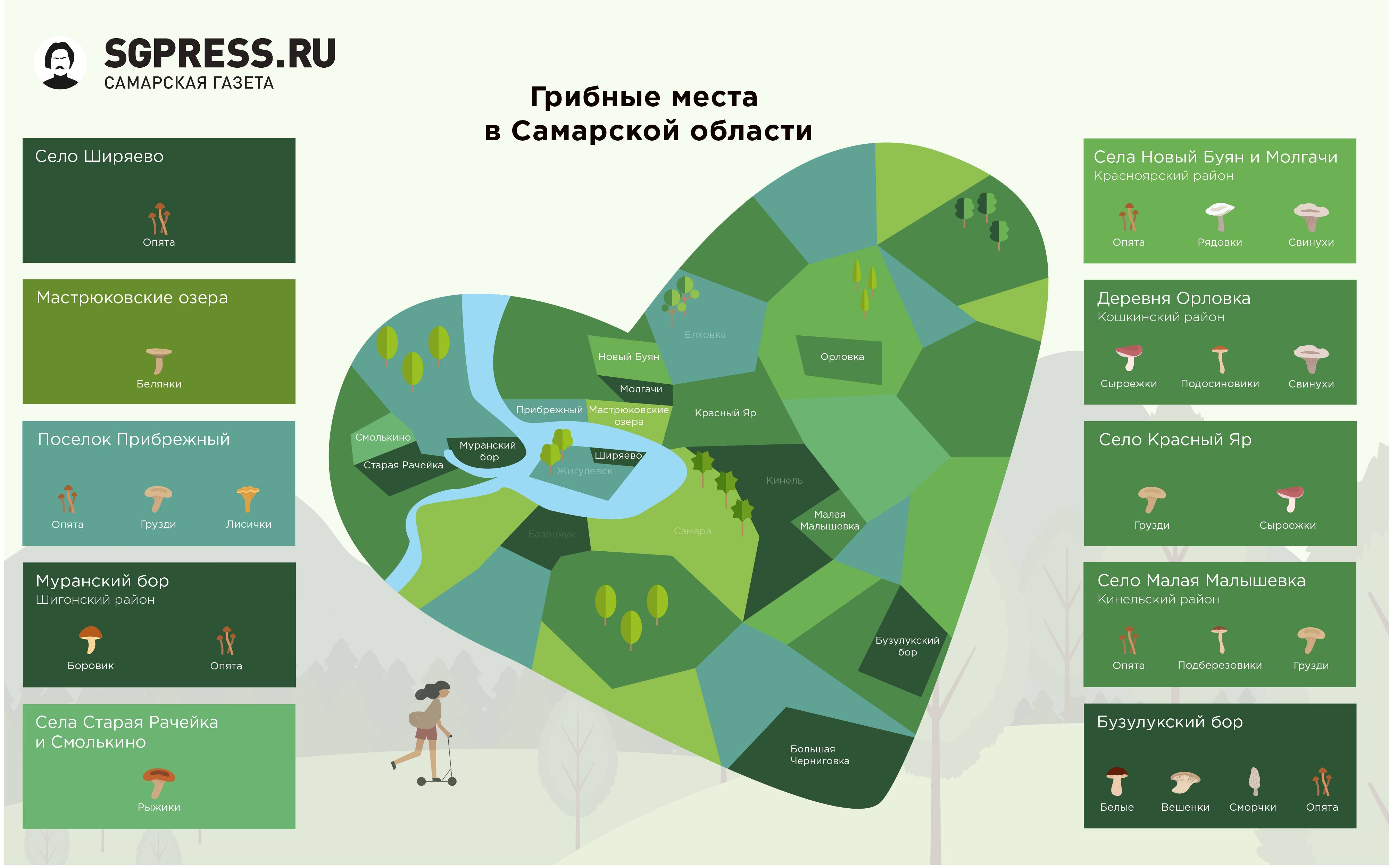 Грибы московской области 2021: когда и где собирать, сезоны и грибные места