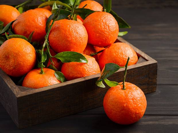 Танжерин, что за фрукт, описание и свойства сitrus tangerina