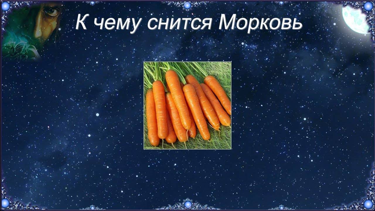 К чему может сниться морковь согласно соннику?