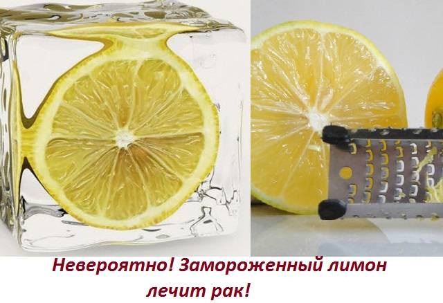Применение масла чайного дерева : инструкция по применению | компетентно о здоровье на ilive