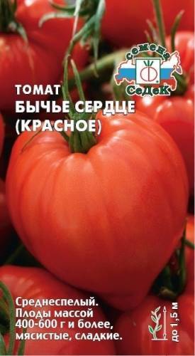 Сорт томатов Бычье сердце — все про разновидность