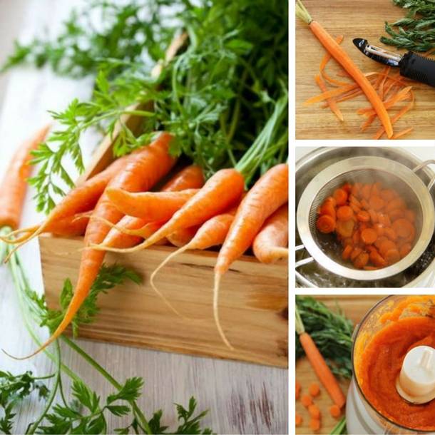 Чем полезна морковь: лечебные свойства вареной и сырой морковки + полезные рецепты для красоты и здоровья