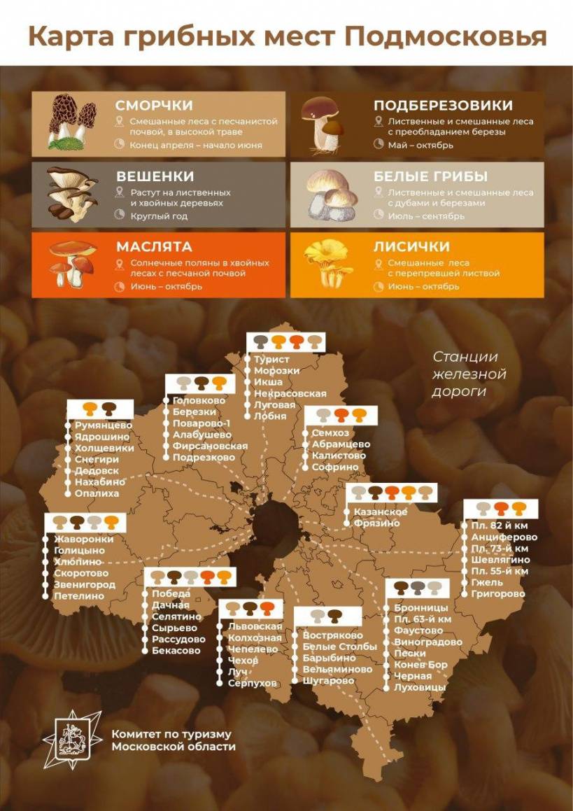 Карта грибных мест калужской области