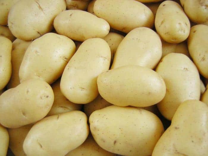 Картофель гранада – описание сорта, фото, отзывы