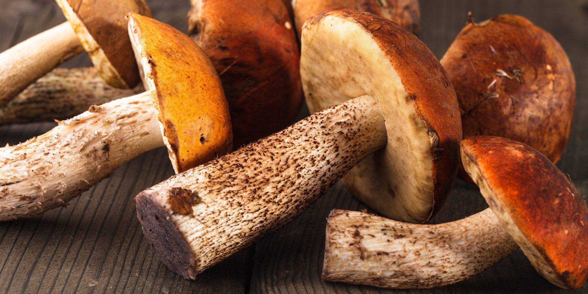 Как и сколько варить лесные грибы?