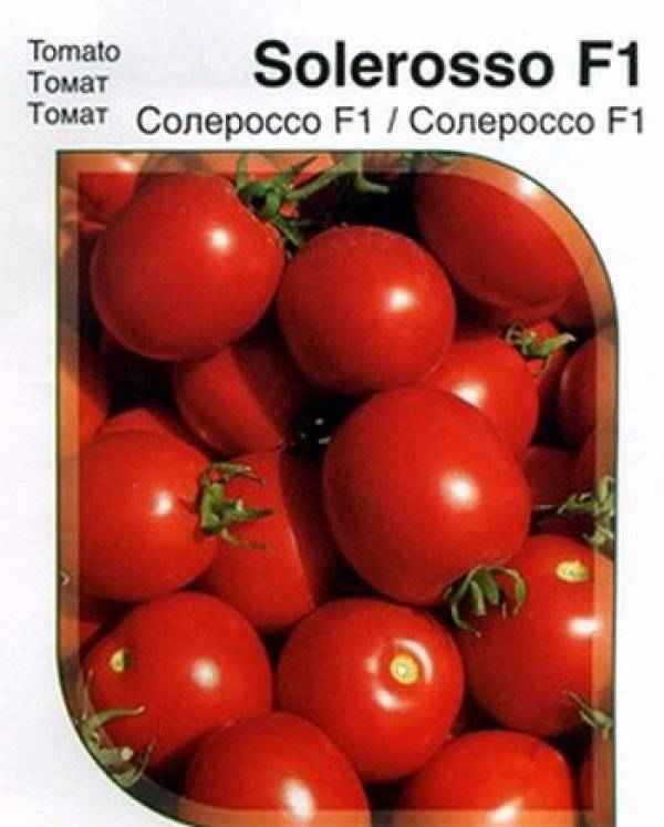 Томат солероссо f1: характеристика и описание сорта, отзывы, фото, урожайность