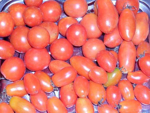 Фото, отзывы, описание, характеристика, урожайность, видео сибирского сорта томата «метелица»