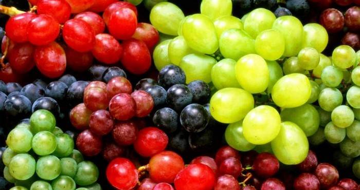 Польза, вред, калорийность винограда на 100 грамм