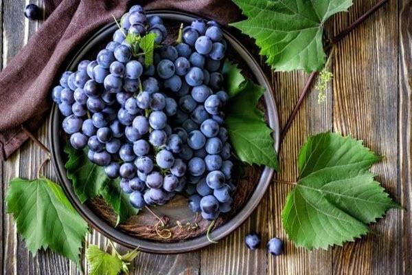 Как правильно хранить виноград на зиму в домашних условиях