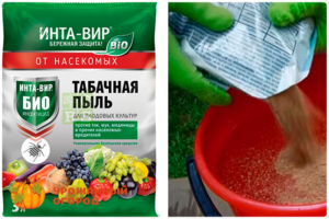Табачная пыль: ✅ применение в садоводстве от вредителей на капусте и настои, как использовать