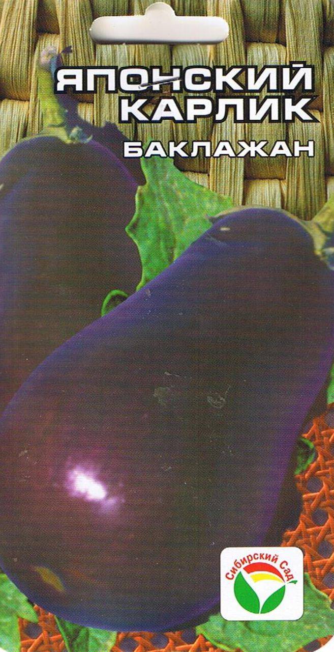 Японский карлик баклажан: описание, выращивание, уход, фото
