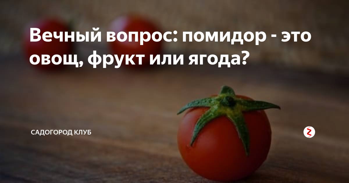 Помидор это ягода или овощ - как называть томаты правильно? фото помидор и их виды