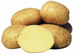 Универсальный сорт картофеля гала: урожайность, неприхотливость, долгое хранение