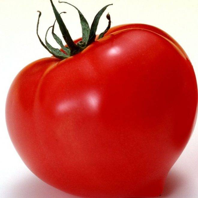 Томат большая мамочка: характеристика, урожайность,фото и отзывы тех, кто пробовал выращивать эти помидоры, описание сорта