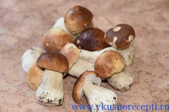 Как правильно сушить белые грибы