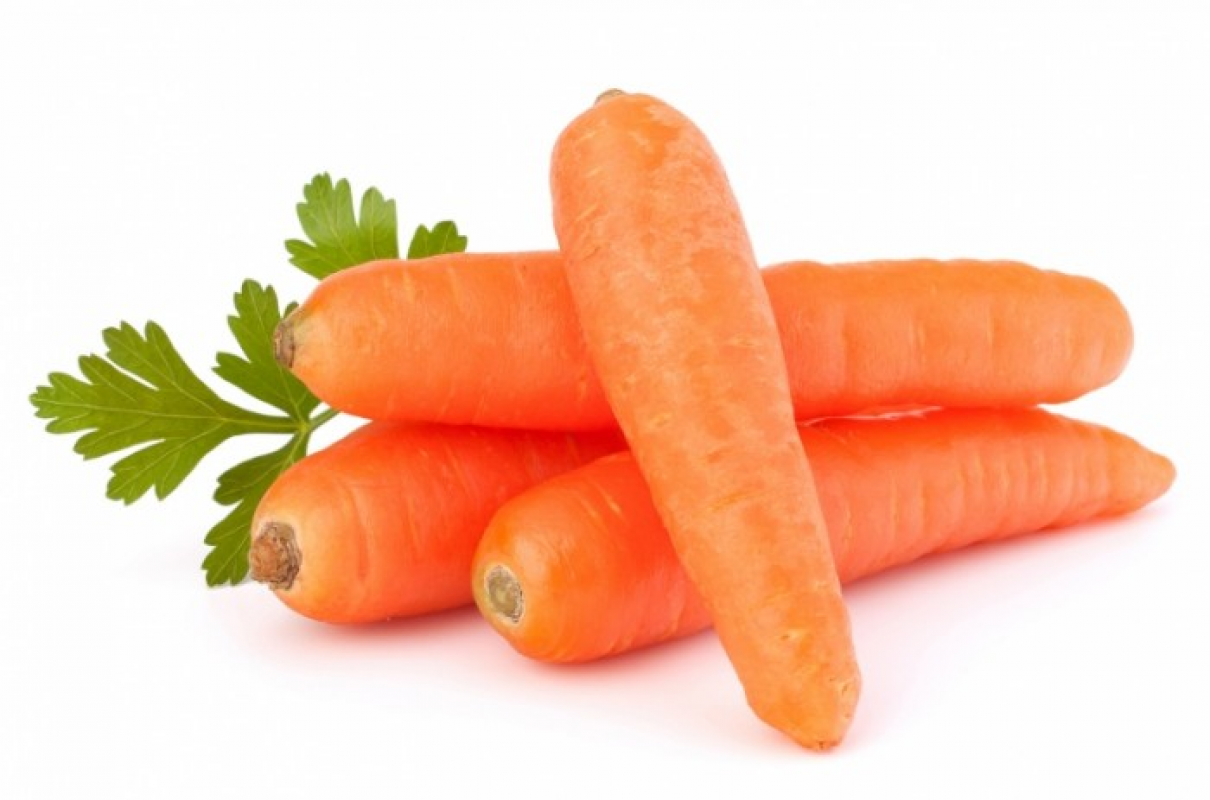 Морковь – полезные свойства, вред и состав продукта