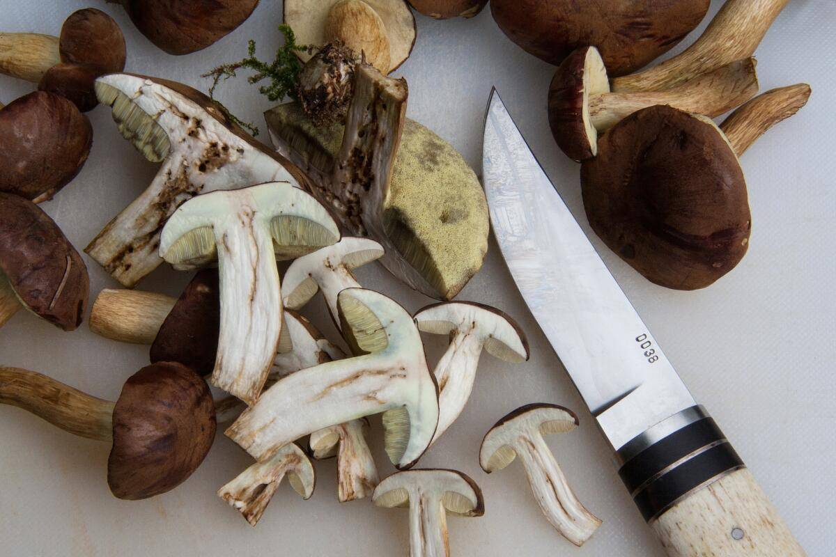 Как заморозить белые грибы на зиму - рецепт с фото пошагово