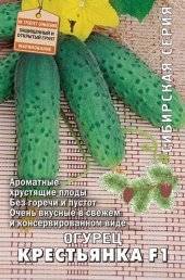 Выращивание огурцов Донской Пассаж и Дмитрий Донской
