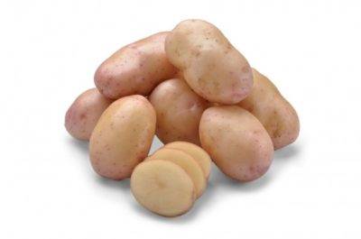 Описание сорта картофеля лорх