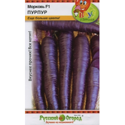 Черная (фиолетовая) морковь: фото, сорта, описание, выращивание