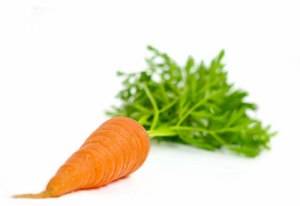 Как вводить морковь в прикорм грудничку: со скольки месяцев, чем полезна малышу, что делать, если у ребенка не переваривается овощ, а также когда или с какого возраста можно давать сырой корнеплод