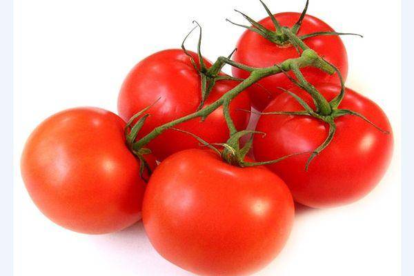 Особенности и правила выращивания томатов «никола». характеристика и описание сорта томата никола, урожайность