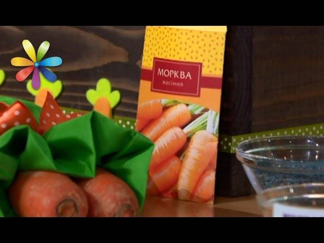 Масло семян моркови: особенности применения для лица, как сделать морковное эфирное средство в домашних условиях, рецепт как приготовить, свойства, польза