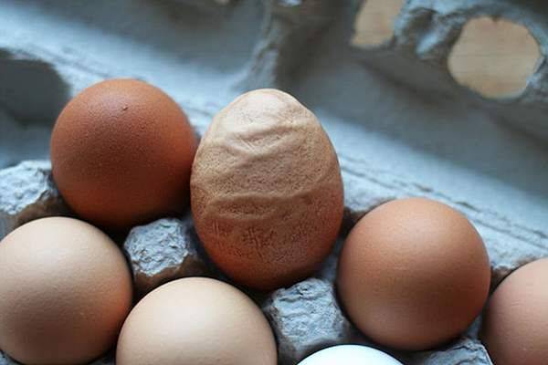 Тонкая и мягкая скорлупа у куриных яиц, что делать