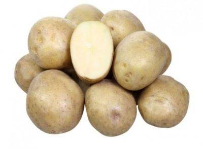 Красные сорта картофеля, описание и фото