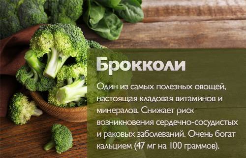 Капуста листовая — калорийность