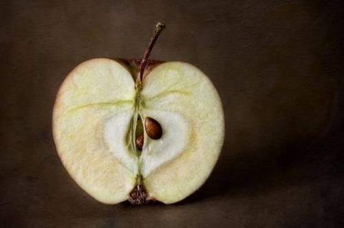 Отвечаем на вопросы. почему яблоко темнеет на срезе?