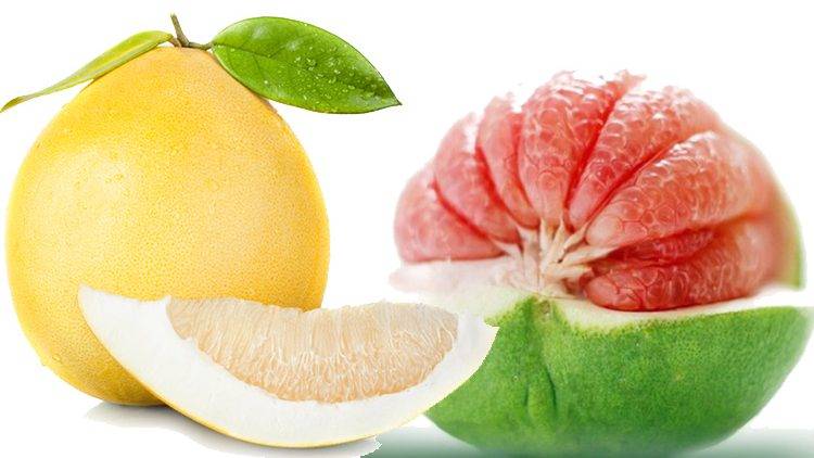 Помело - описание, польза и вред фрукта, состав, калорийность. как выбрать помело? выращивание в домашних условиях