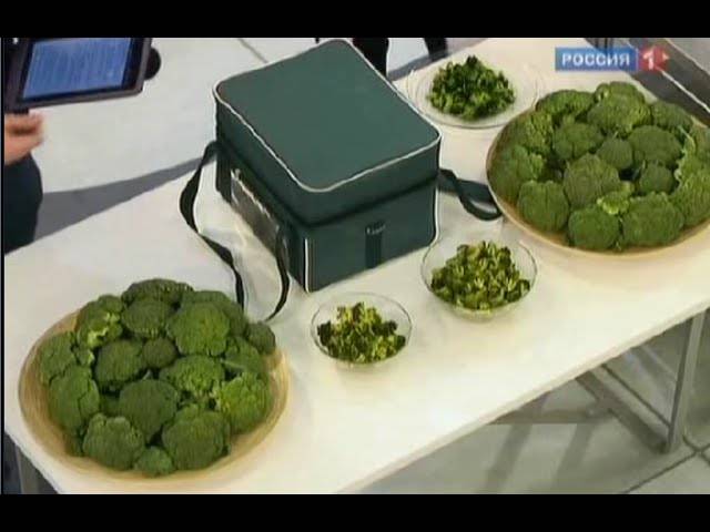 Сок сельдерея для похудения: рецепты и отзывы | компетентно о здоровье на ilive