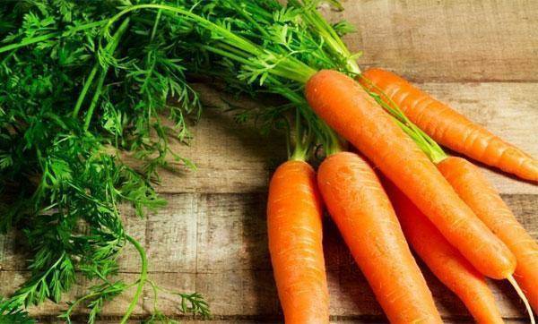 Морковная ботва - польза и вред для организма мужчины и женщины. полезные свойства и противопоказания