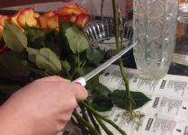 Как сохранить розы в вазе дольше правильно