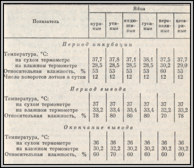 Температура яиц. Таблица температуры и влажности в инкубаторе для гусиных яиц. Температурный режим в инкубаторе для гусиных и утиных яиц. Таблица инкубации гусиных яиц в инкубаторе в домашних. Таблица вывода гусей в инкубаторе.