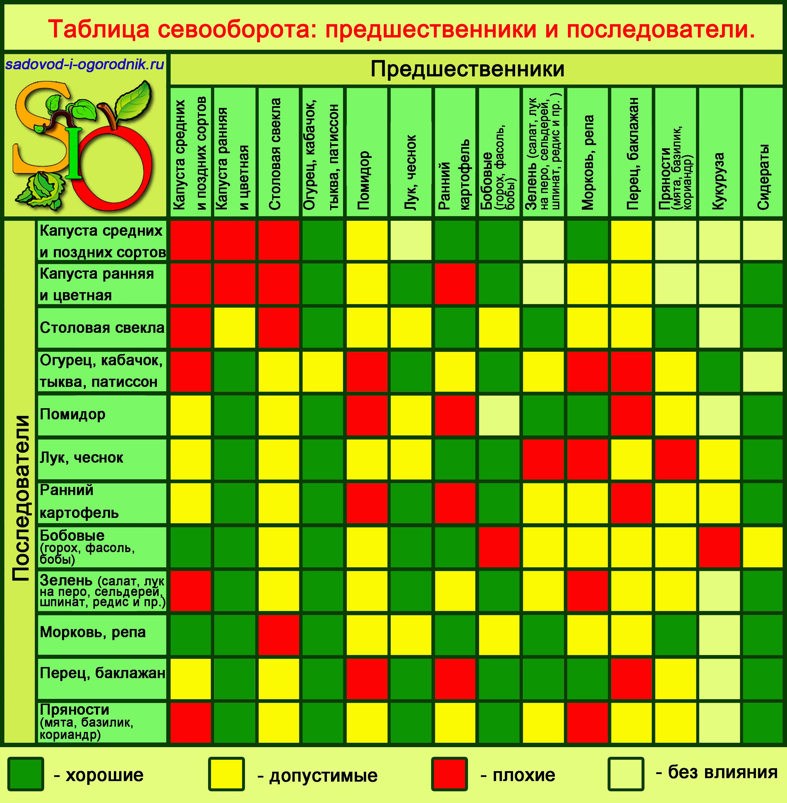 Чередование огородных культур и таблица севооборота