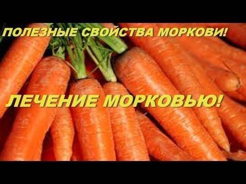 Витамины в моркови